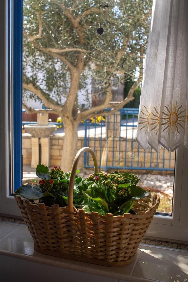 Olive Tree Apartments Umag Eksteriør billede
